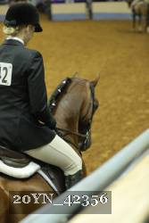 20YN_42356 proof