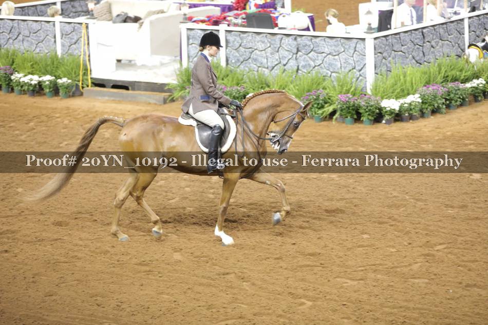 Proof 20YN_10192
