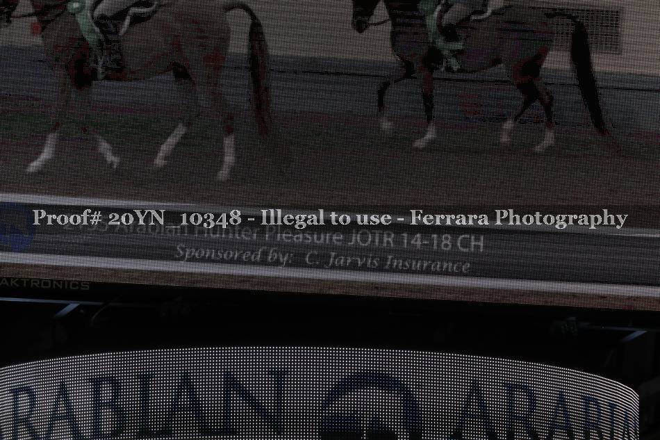 Proof 20YN_10348