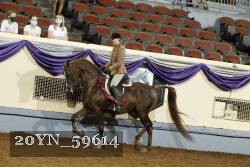 20YN_59614 proof