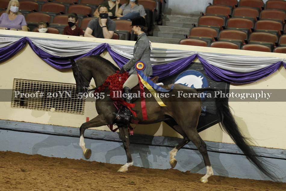 Proof 20YN_59635