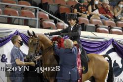 20YN_49028 proof