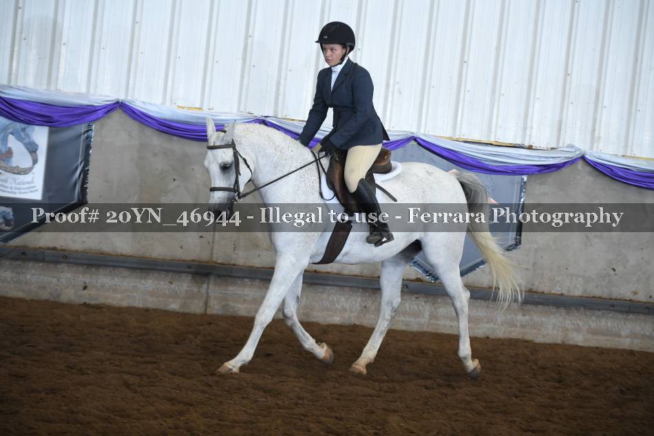 Proof 20YN_46944