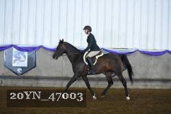 20YN_47003 proof