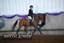 20YN_47022 proof