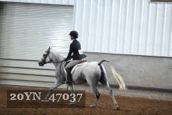 20YN_47037 proof