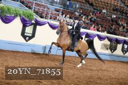 20YN_71855 proof