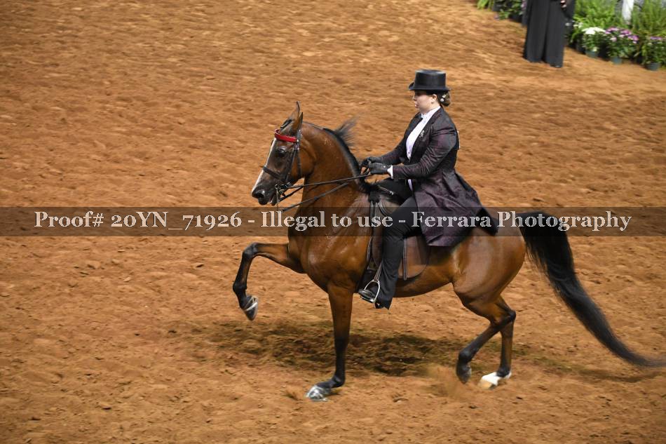 Proof 20YN_71926