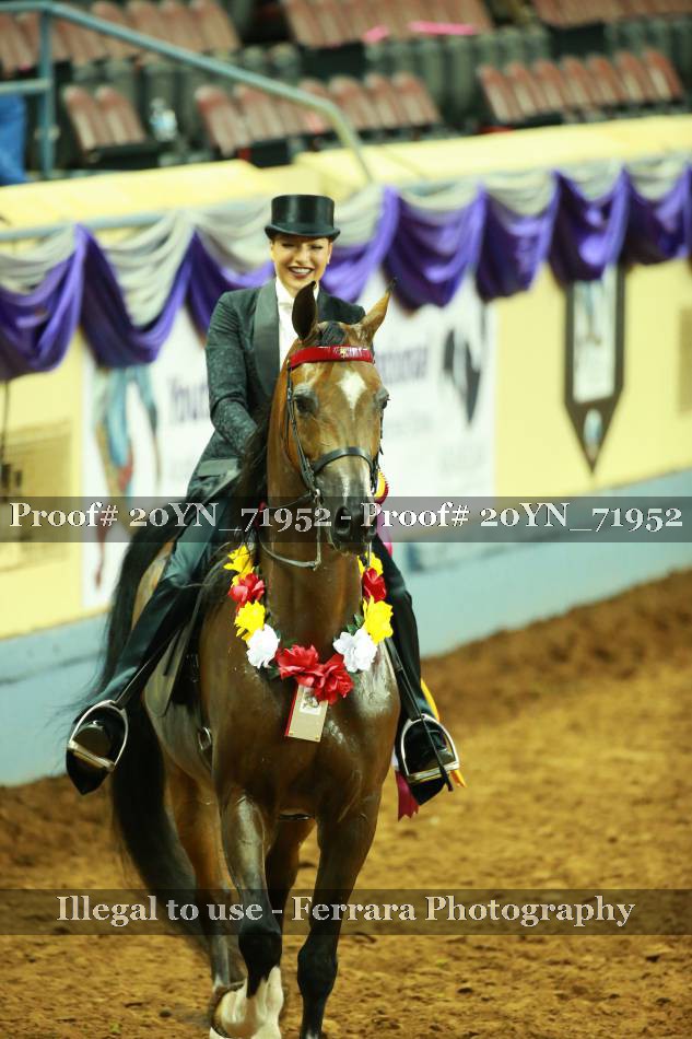 Proof 20YN_71952