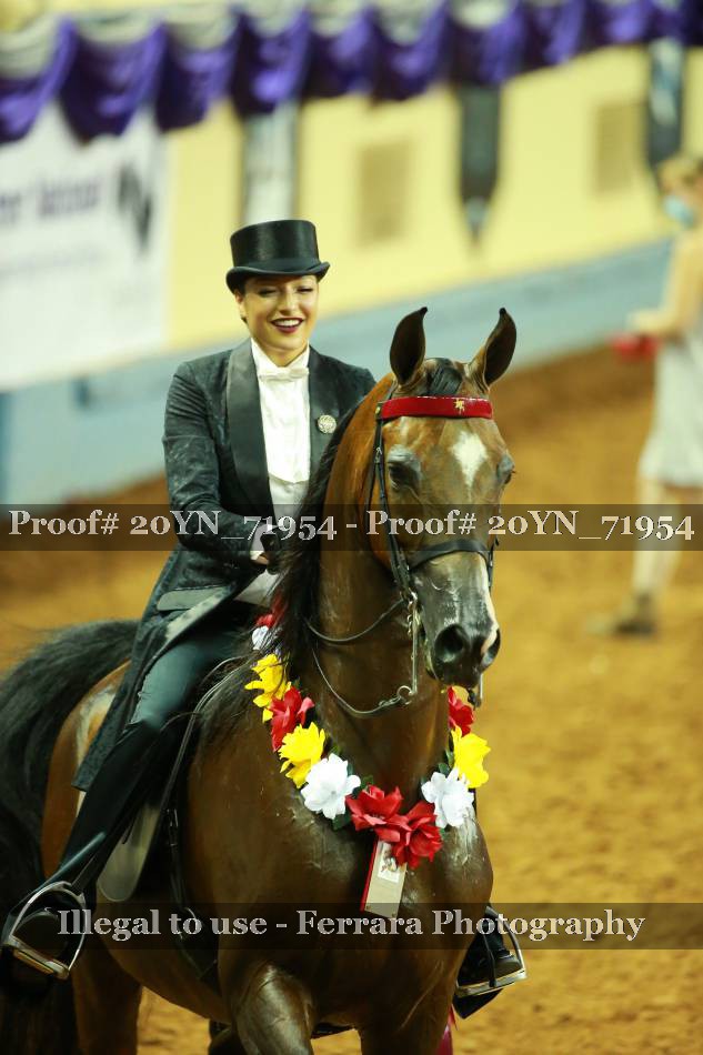 Proof 20YN_71954