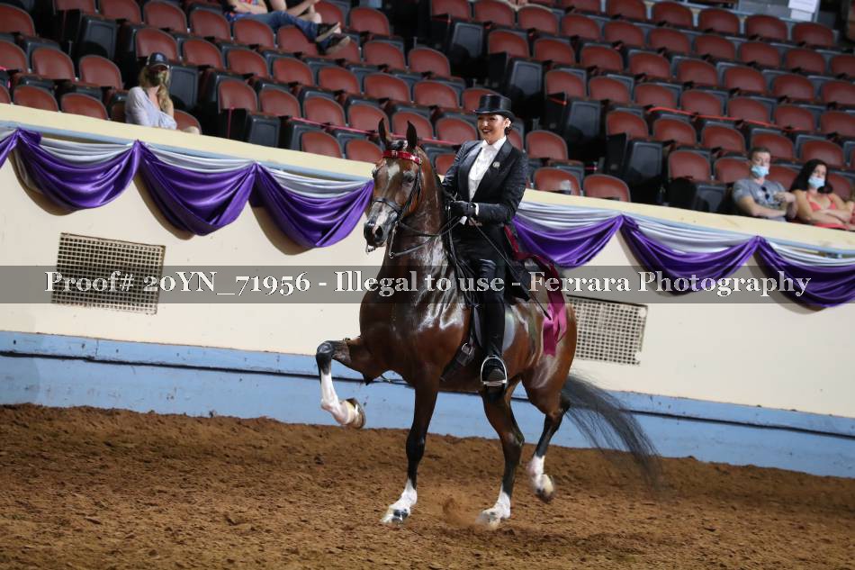 Proof 20YN_71956