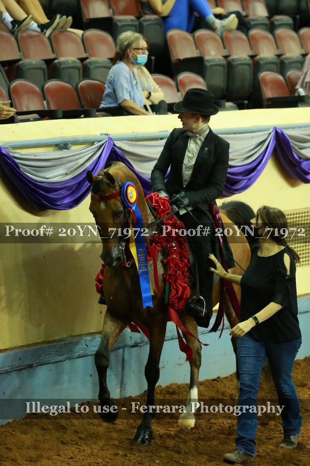 Proof 20YN_71972