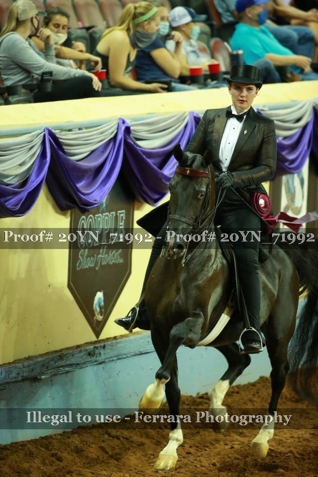 Proof 20YN_71992
