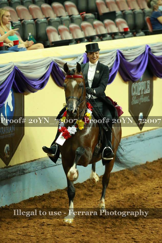 Proof 20YN_72007