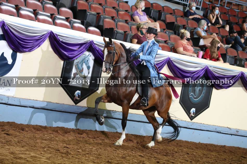 Proof 20YN_72013