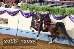 20YN_72025 proof
