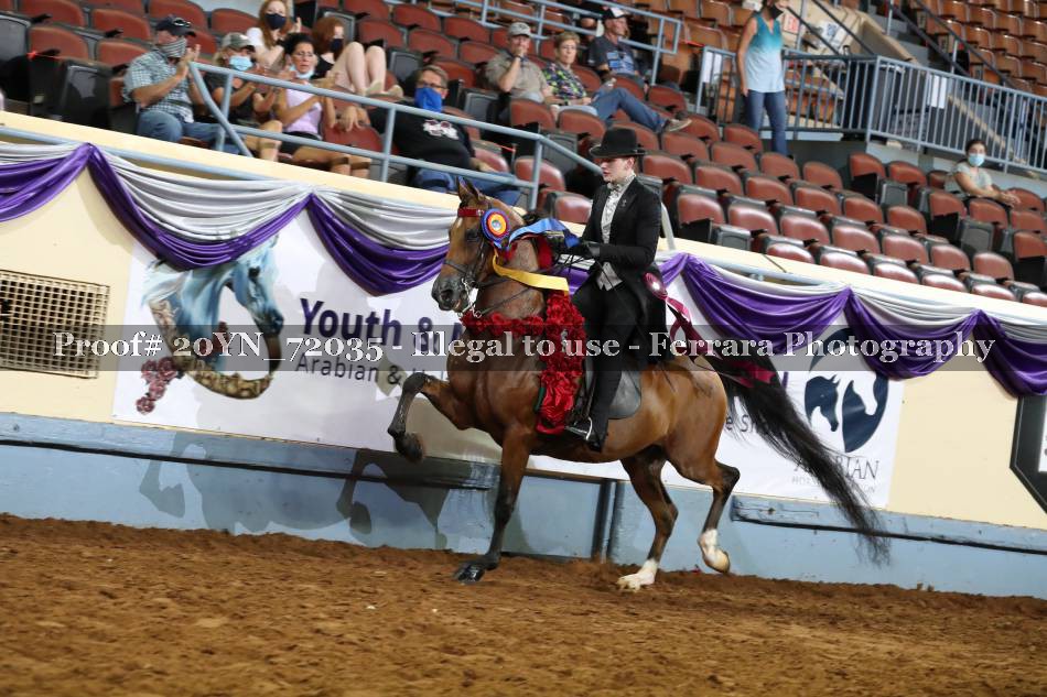 Proof 20YN_72035