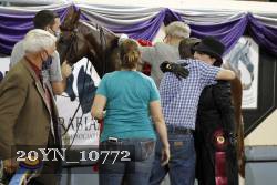 20YN_10772 proof
