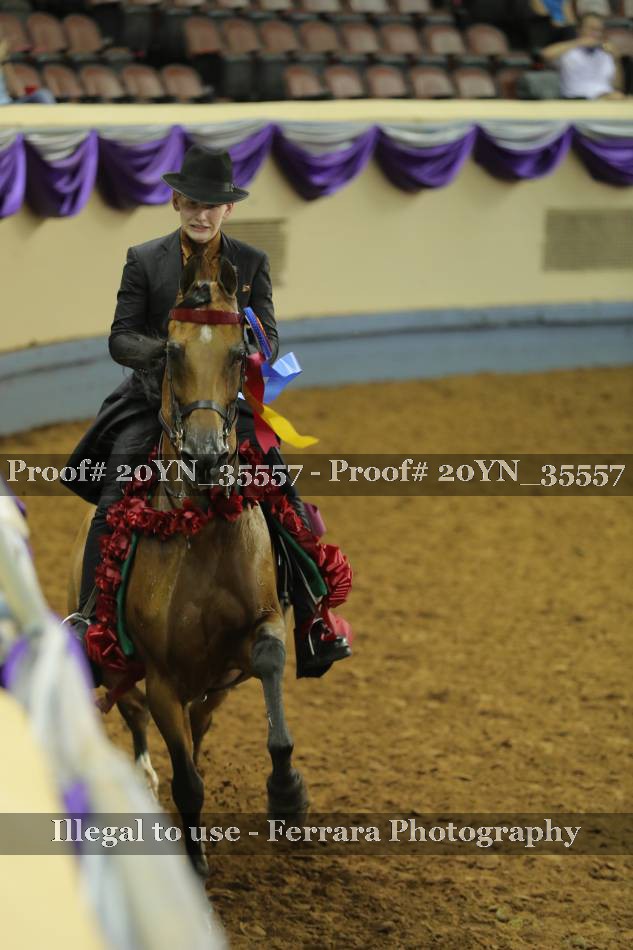 Proof 20YN_35557