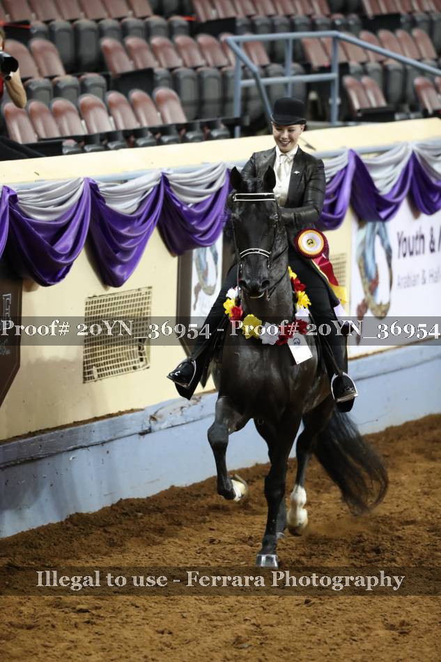 Proof 20YN_36954