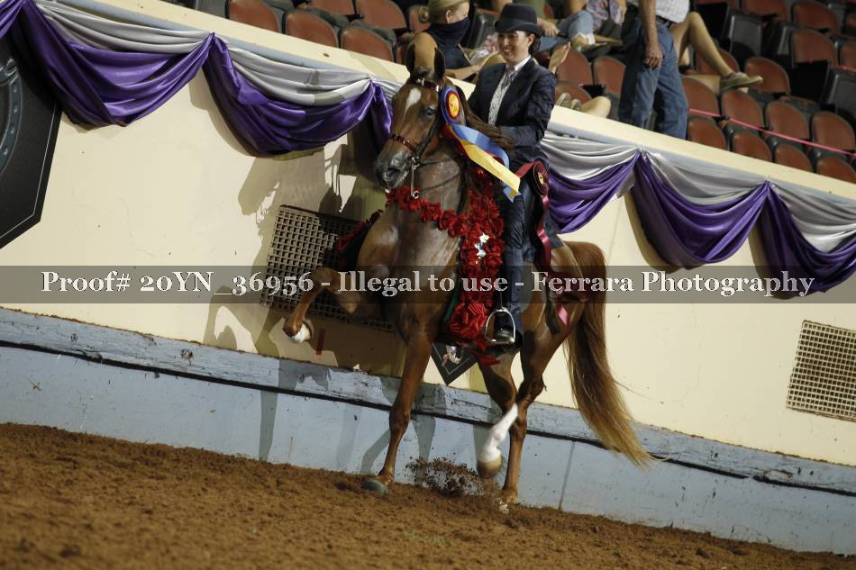 Proof 20YN_36956