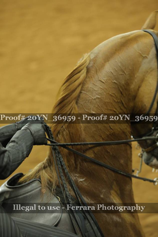 Proof 20YN_36959