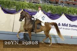 20YN_29808 proof