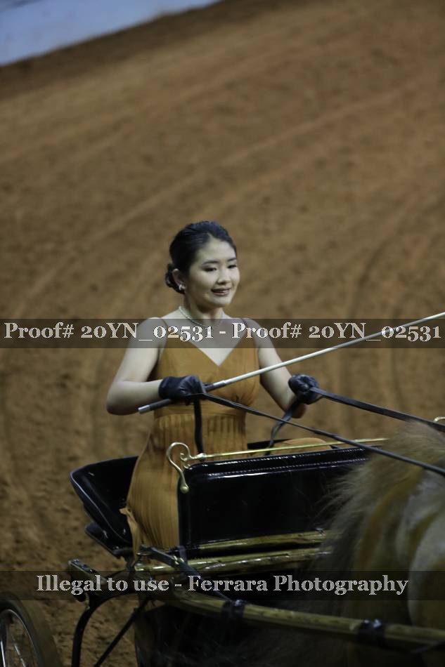 Proof 20YN_02531