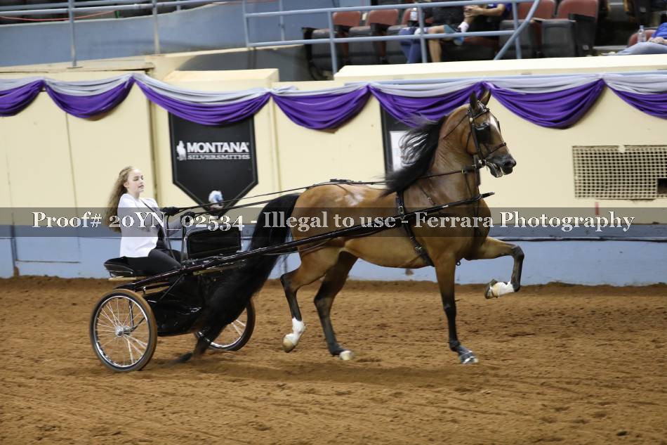 Proof 20YN_02534