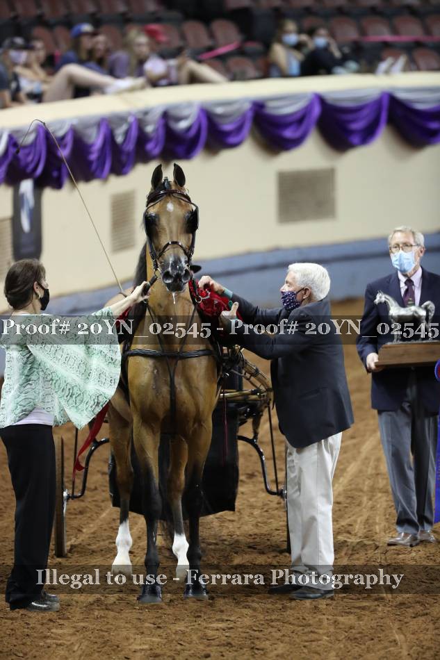 Proof 20YN_02545