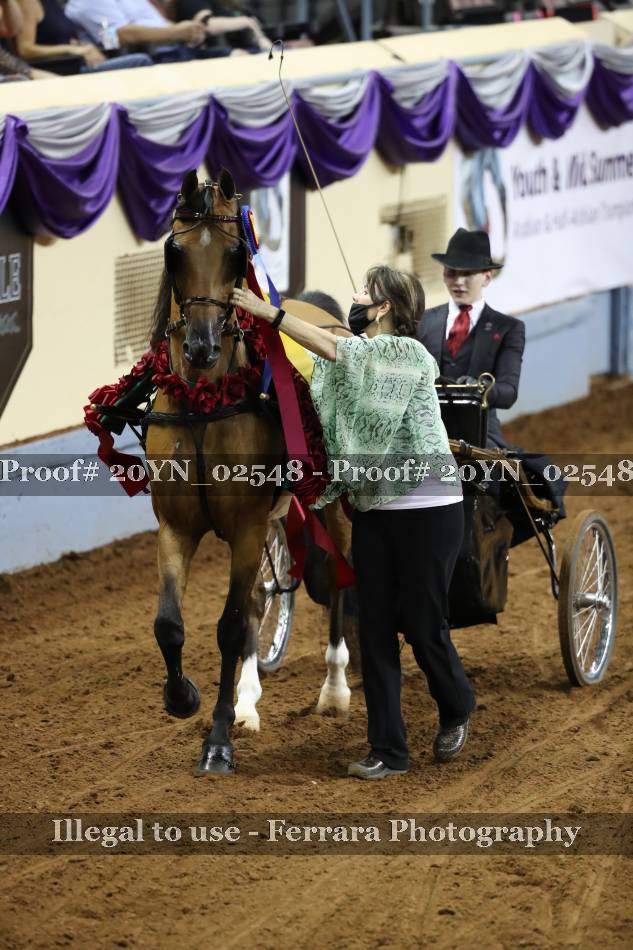 Proof 20YN_02548