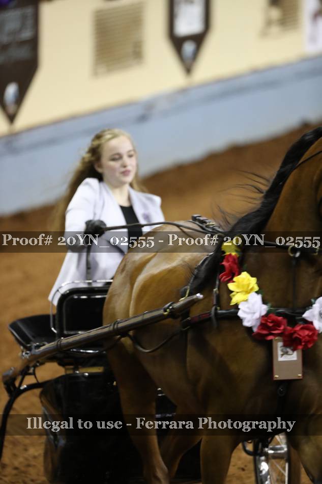 Proof 20YN_02555
