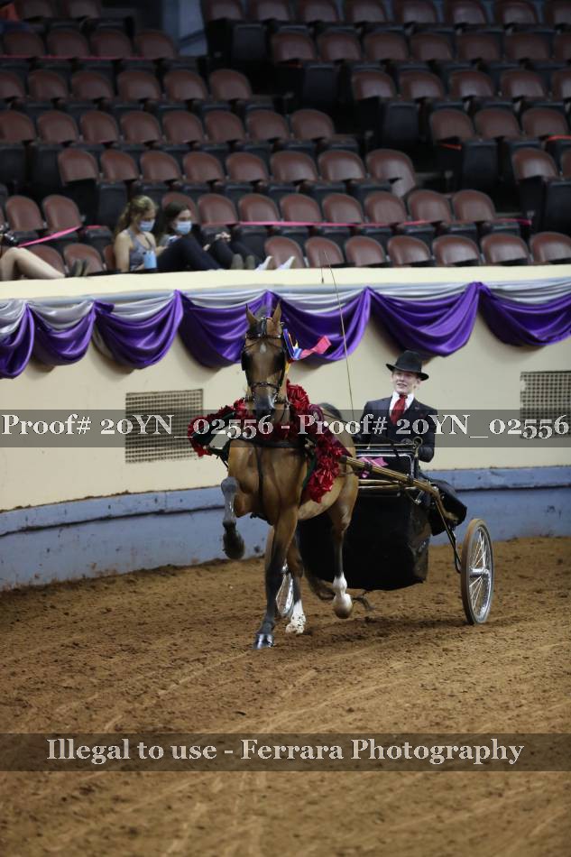 Proof 20YN_02556