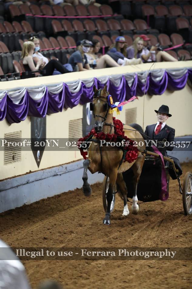 Proof 20YN_02557