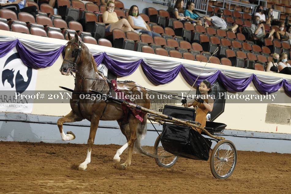 Proof 20YN_02595