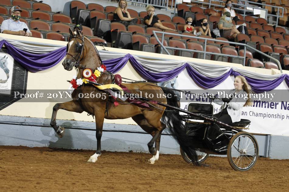 Proof 20YN_02605