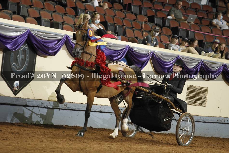 Proof 20YN_02609