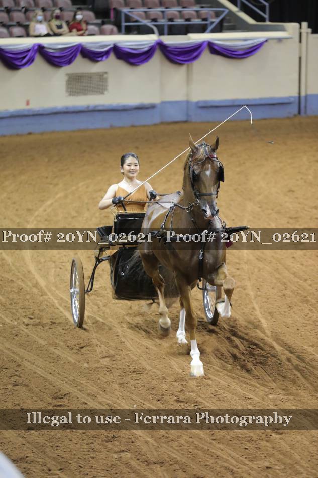 Proof 20YN_02621