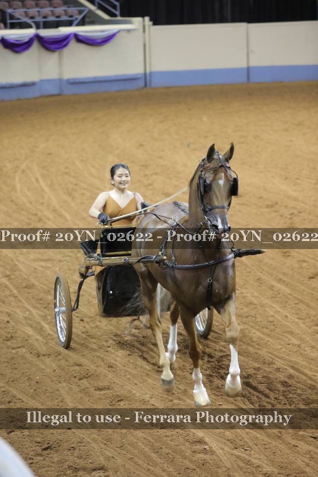 Proof 20YN_02622