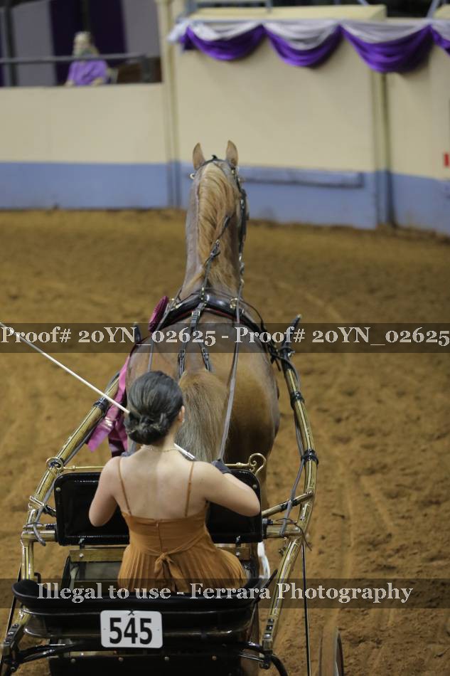 Proof 20YN_02625