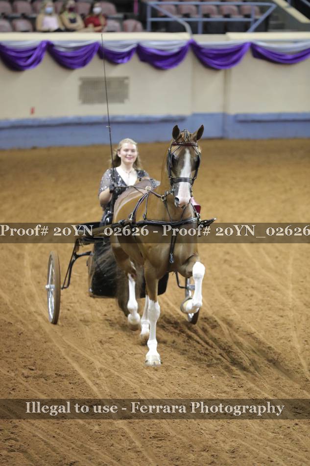 Proof 20YN_02626