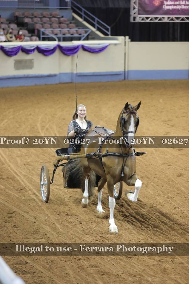 Proof 20YN_02627