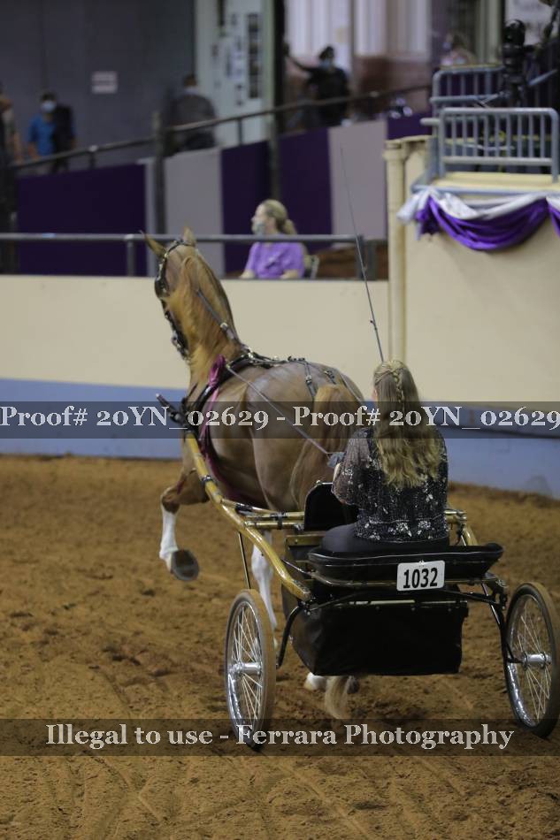 Proof 20YN_02629