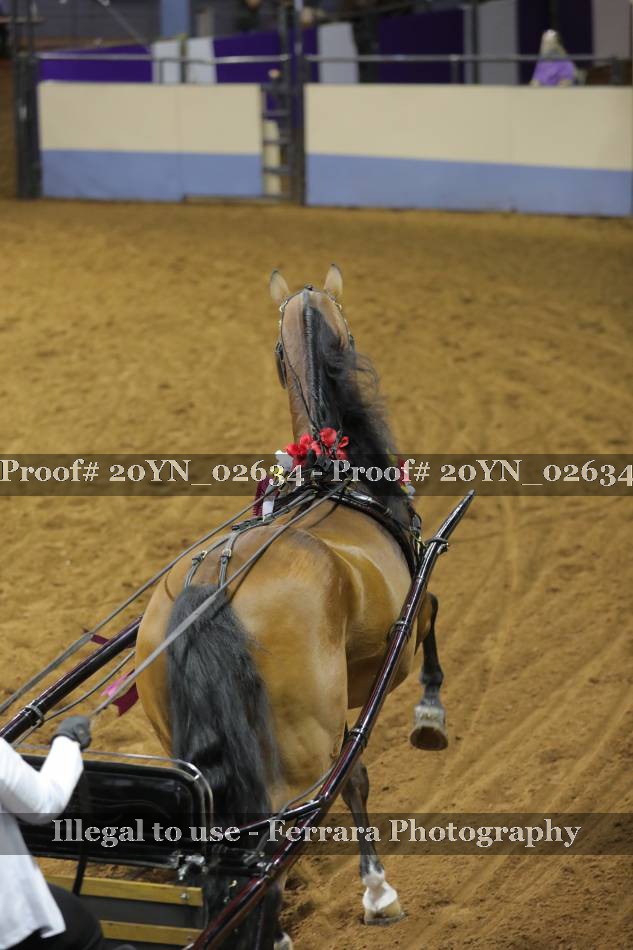 Proof 20YN_02634