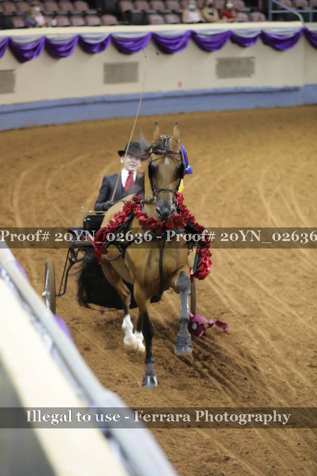 Proof 20YN_02636