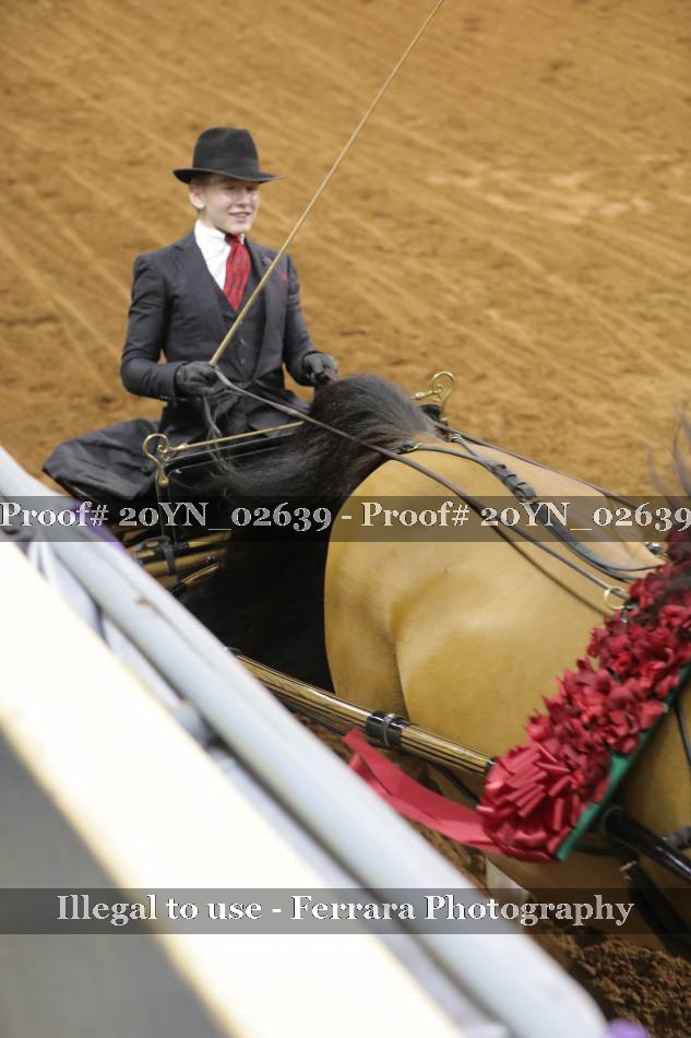 Proof 20YN_02639
