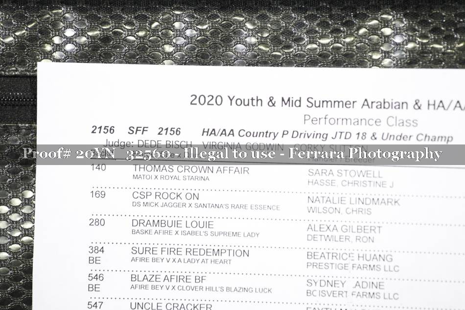 Proof 20YN_32560