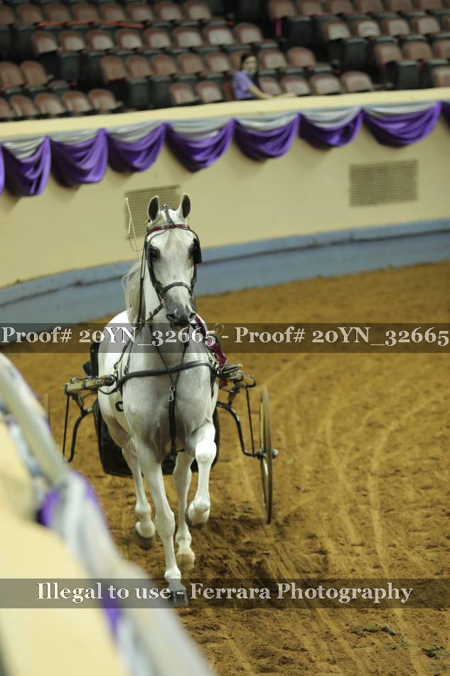 Proof 20YN_32665