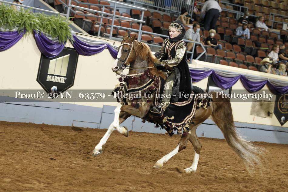 Proof 20YN_63579