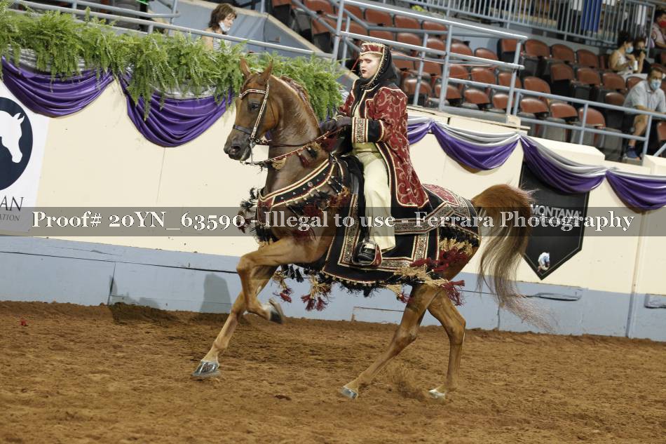 Proof 20YN_63590